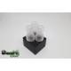 Phenomenon Lite Bell Pawn tank - Gus